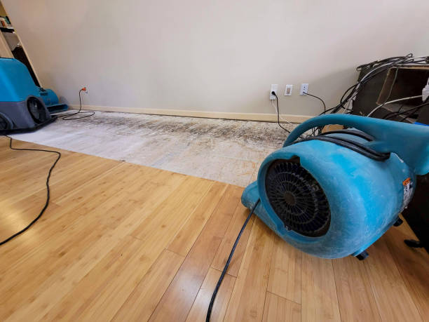 Professional Water Removal technician working in Scott, OH